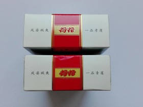 3033_23395