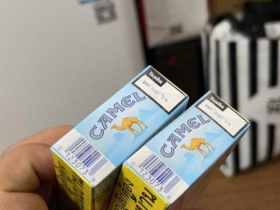 骆驼(蓝)