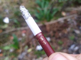 金圣(典藏·花开富贵)