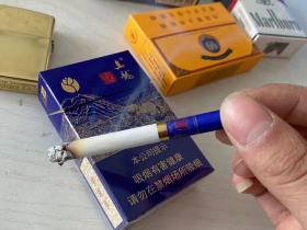真龙(起源)