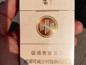 黄山(智者010)