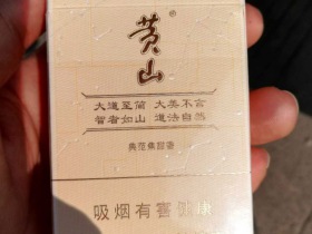 黄山(智者010)