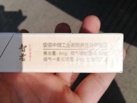 黄山(智者010)