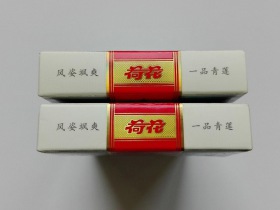 5700_84207