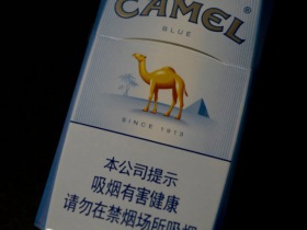 骆驼(蓝中免版)