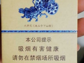 金圣(智圣出山16支装)
