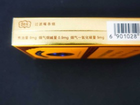 93777_33700
