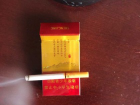人民大会堂(盛京中支)