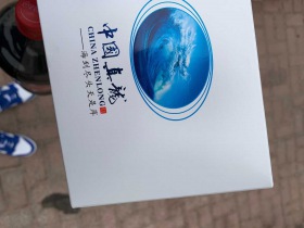 真龙(海韵中支)