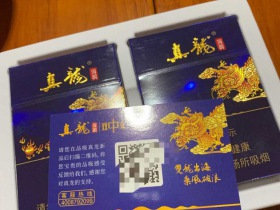 真龙(海韵中支)
