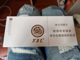 芙蓉王(匠心手作)