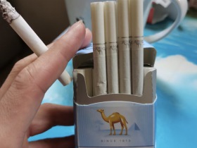 骆驼(蓝中免.德国产)