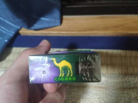 骆驼（CAMEL）(小雪茄薄荷蓝莓爆珠日版)