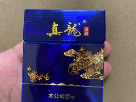 真龙(海韵中支)