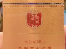 泰山(金将中支)