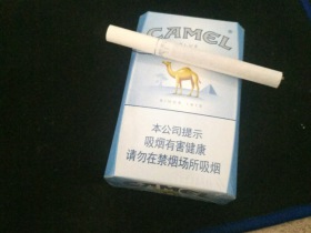 骆驼(蓝)
