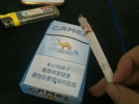 骆驼(蓝)