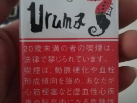 海马(软)