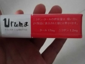 海马(软)