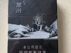 兰州(智在中支)