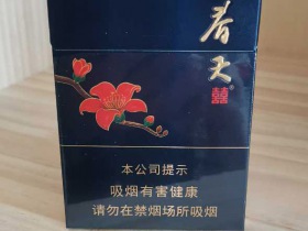 双喜(春天中支)