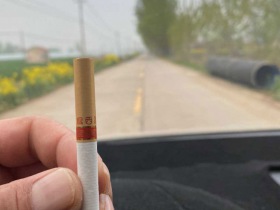 苏烟(瘦西湖)