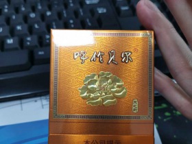 呼伦贝尔(天之韵)