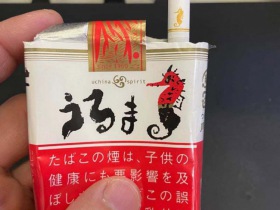 海马(软)