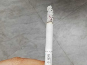 93940_68081