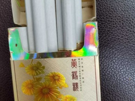 黄鹤楼(滑盖乐道)