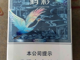 95753_13056