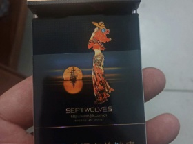 93951_27880