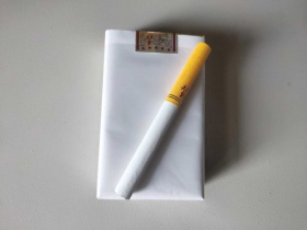 真龙(软赞歌)