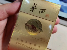 华西村(经典)