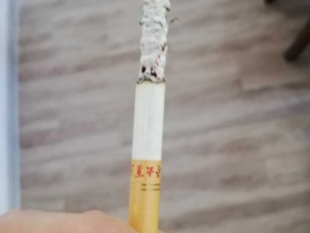 冬虫夏草(硬)