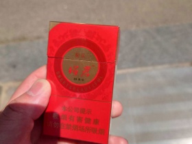 95655_98209