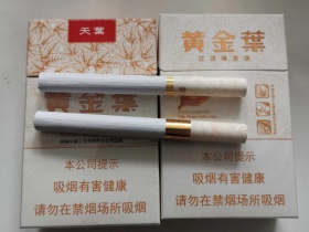 黄金叶(小天叶)