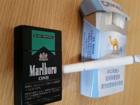 骆驼(蓝)