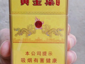 黄金叶(中华龙)