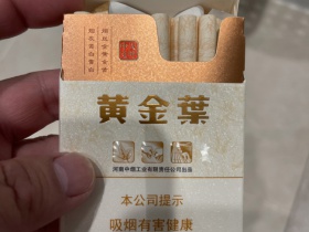 95666_29261