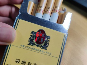 冬虫夏草(硬)