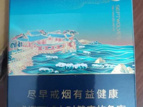 七匹狼(观海中支)