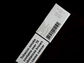95836_53689