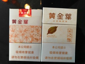黄金叶(软黄金)
