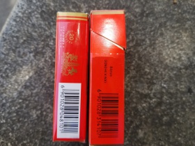 恭贺新禧(软)