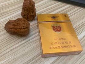 泰山(金将中支)