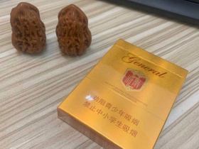 泰山(金将中支)
