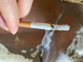 芙蓉王(硬出口)