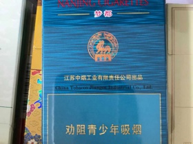 95573_19948