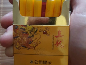 真龙(锦绣东方)
